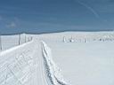 Dsc01608.jpg