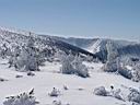 DSC01397.JPG