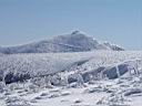 DSC01401.JPG