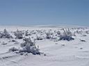 DSC01407.JPG