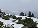 DSC01506.JPG