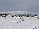 DSC01508.JPG